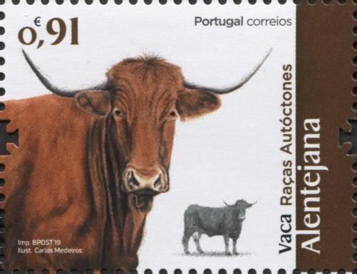 Alentejo Cattle