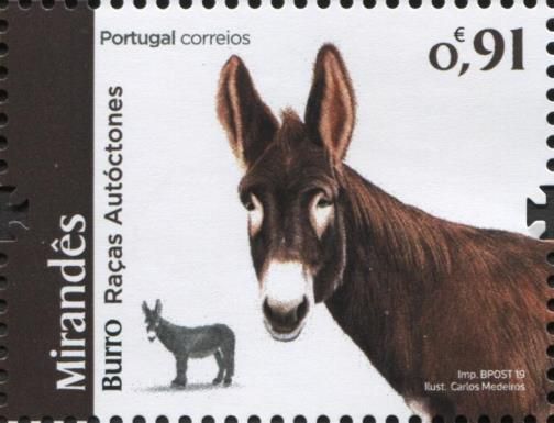 Mirandes Donkey