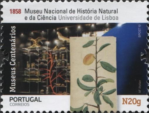 Natural History & Science Museum, University of Lisbon