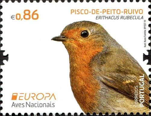 European Robin (Erithacus rubecula)