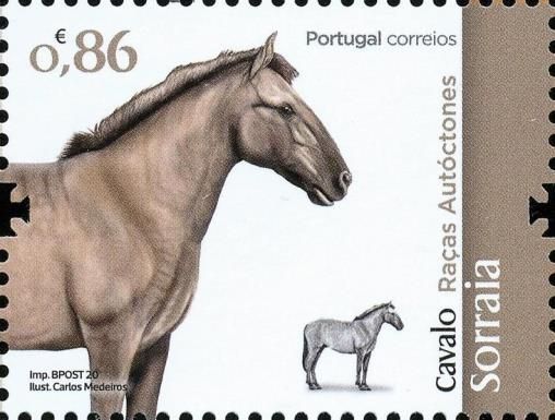 Sorraia Horse