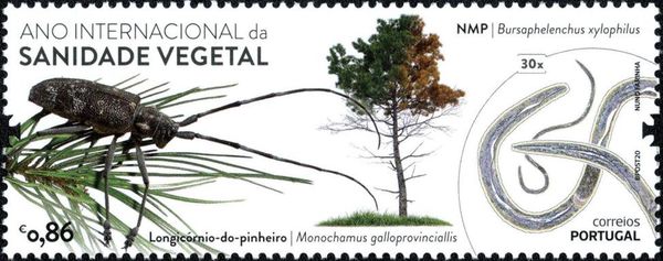 International Year of Plant Health