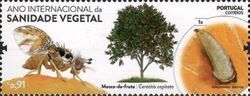 International Year of Plant Health