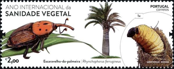 International Year of Plant Health