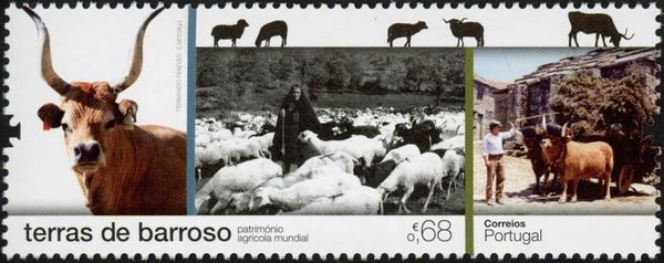 World Agricultural Heritage - Barroso Lands