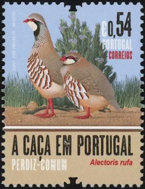 Red-Legged Partridge (Alectoris rufa)