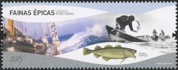 Cod Fishing in the North Altantic