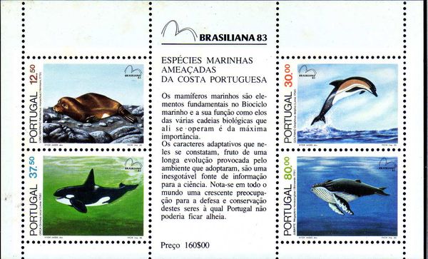 Endangered Marine Species in the Portuguese coast