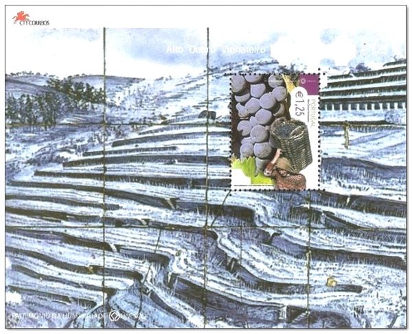 Alto Douro wines