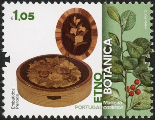 Inlaid Box and Macaronesian holly (Ilex perado)