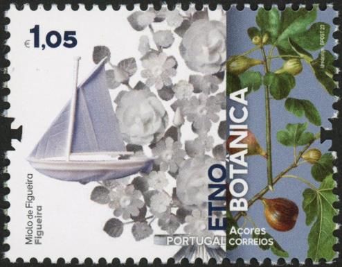Boat Sculpture and Fig Tree