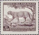 Puma (Puma concolor)