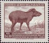 Tapir (Tapirus terrestris)