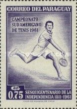 Tennis Player