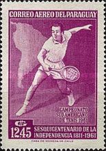 Tennis Player