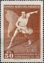 Tennis Player