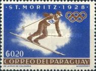 Ski Runner