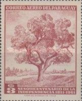 Ceibo Tree
