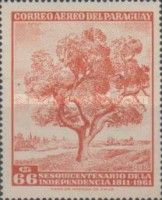 Ceibo Tree