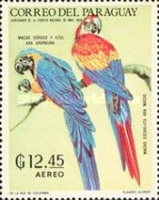 Blue-and-yellow Macaw (Ara ararauna), Scarlet Macaw (Ara mac