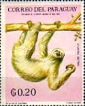 Brown-throated Three-toed Sloth (Bradypus variegatus)