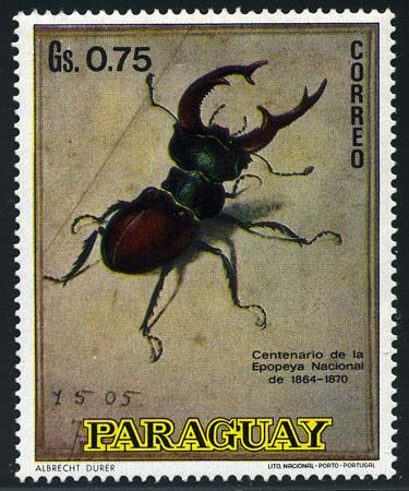 Stag-beetle