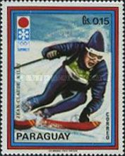 Skier