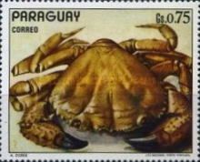 Crab