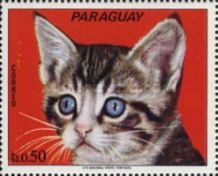 Cats