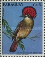 Northern Royal Flycatcher (Onychorhynchus mexicanus)