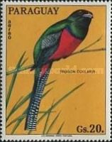 Collared Trogon (Trogon collaris)