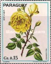 Tea scented