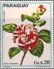 Rosa japonesa