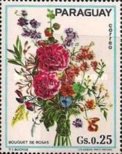 Rosa "Bouquet"