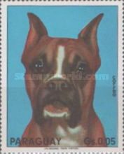 German Boxer (Canis lupus familiaris)