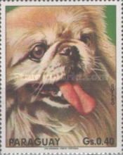 Pekinese (Canis lupus familiaris)