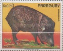 Pecari