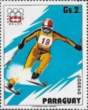 Slalom Skier