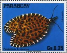 Leafroller (Pseudatteria leopardina)