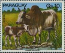 Zebu (Bos primigenius indicus)