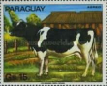 Cattle (Bos primigenius taurus)