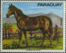 Horse (Equus ferus caballus)