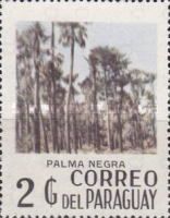 Black Palms (Palma negra)