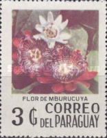 Passiflora