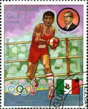 R. Delgado, Boxer
