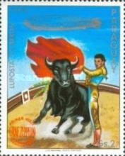Bullfighter