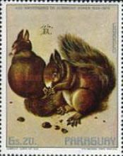 Eurasian Red Squirrel (Sciurus vulgaris)