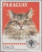 Domestic Cat (Felis silvestris catus)