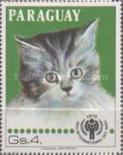 Domestic Cat (Felis silvestris catus)