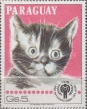 Domestic Cat (Felis silvestris catus)